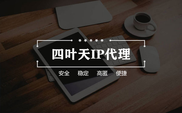 【广安代理IP】如何快速搭建代理IP？怎么检查代理的效果？